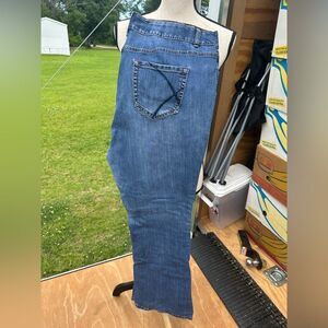 Lane Bryant Classic Blue Women's Jeans